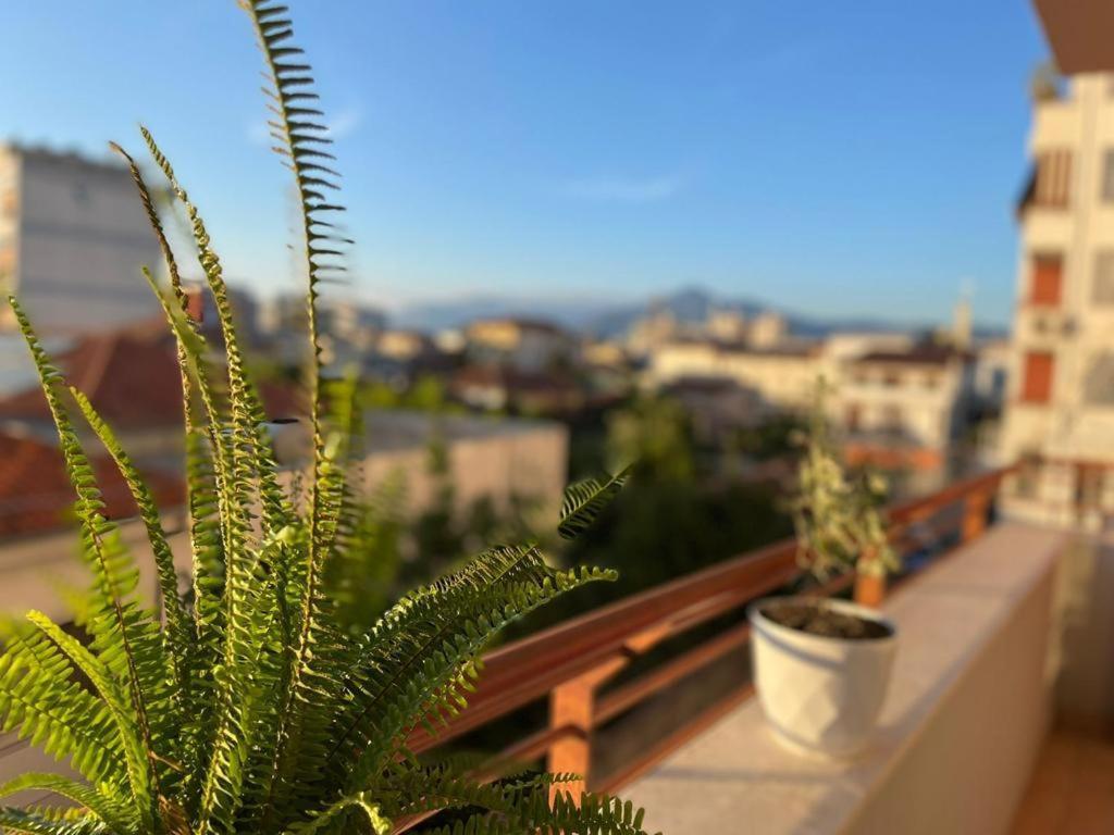 Premium Apartments Szkodra Zewnętrze zdjęcie